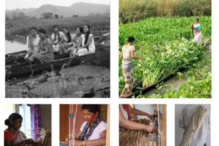 छह लड़कियों का कमाल बायोडिग्रेडेबल मैट बनाया जो जलकुम्भी से तलाब को बचाएगा