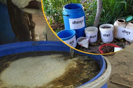 जीवामृत बनाने की विधि के बारे मे
