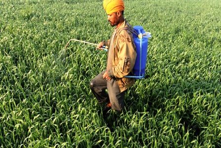 कीटनाशकों पर लगेगा प्रतिबंध,केंद्र सरकार की तैयारी