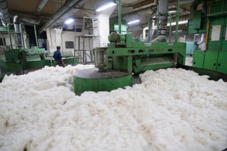 Cotton area decreased in the current season