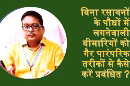 organic pesticide:कम खर्च में कीटों से पौधों का करें बचाव